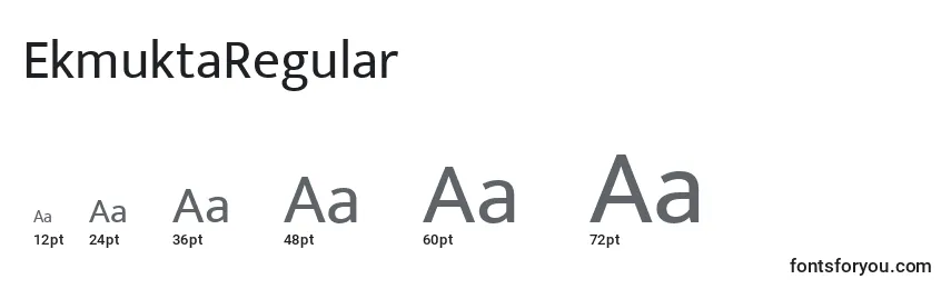 Размеры шрифта EkmuktaRegular