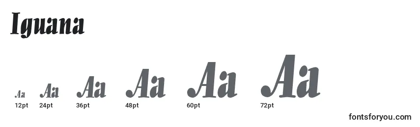 Iguana Font Sizes