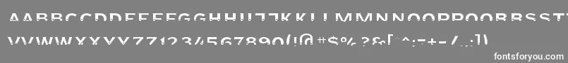 フォントAgreloyint3 – 灰色の背景に白い文字