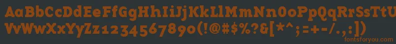 BasetwelveserifBold Font – Brown Fonts on Black Background