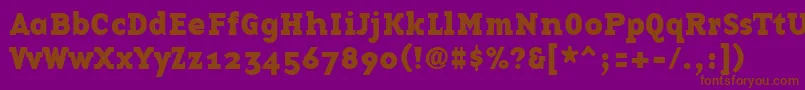 BasetwelveserifBold Font – Brown Fonts on Purple Background