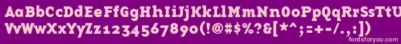 BasetwelveserifBold Font – Pink Fonts on Purple Background
