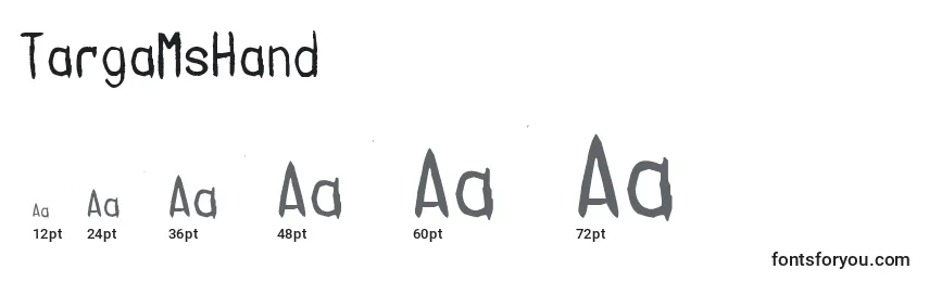 TargaMsHand Font Sizes