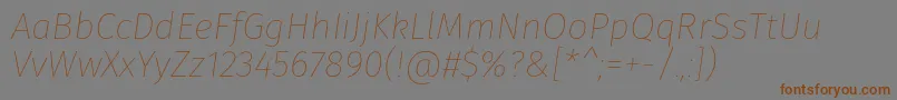 FirasansThinitalic Font – Brown Fonts on Gray Background