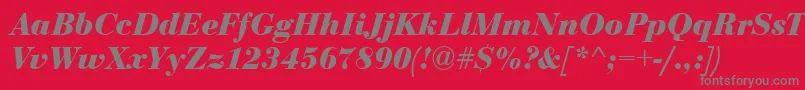 BodoniCeBoldItalic Font – Gray Fonts on Red Background