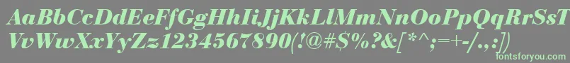 BodoniCeBoldItalic Font – Green Fonts on Gray Background