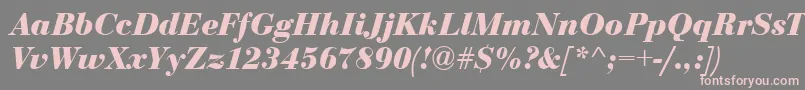 Шрифт BodoniCeBoldItalic – розовые шрифты на сером фоне