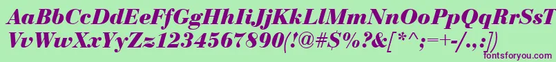 BodoniCeBoldItalic-Schriftart – Violette Schriften auf grünem Hintergrund
