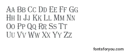 Review of the AAlgeriuscapsnr Font
