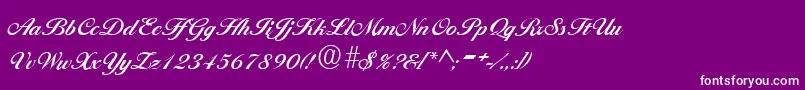 BallantinesRegular Font – White Fonts on Purple Background