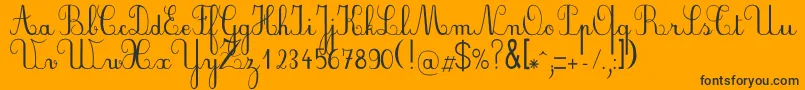 Plumnde Font – Black Fonts on Orange Background