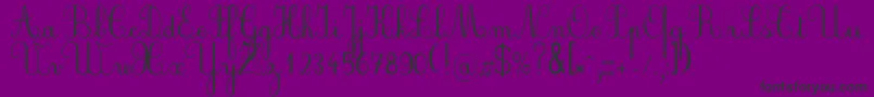 Plumnde Font – Black Fonts on Purple Background