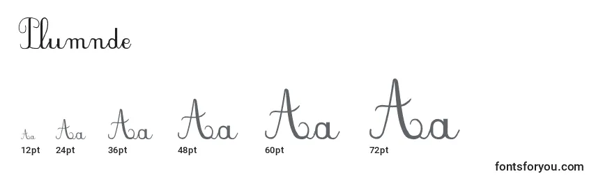 Plumnde Font Sizes