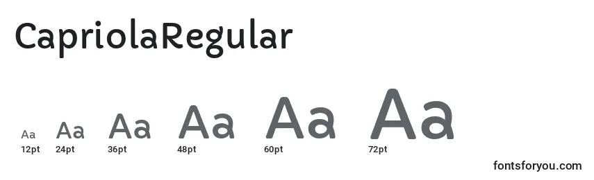 Размеры шрифта CapriolaRegular