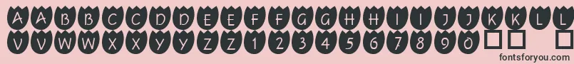 101Tulipz Font – Black Fonts on Pink Background