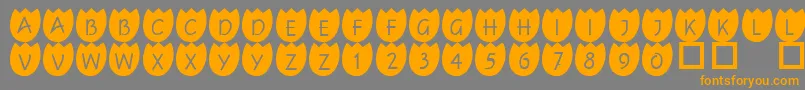 101Tulipz Font – Orange Fonts on Gray Background