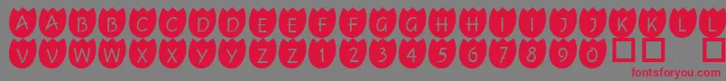 101Tulipz Font – Red Fonts on Gray Background