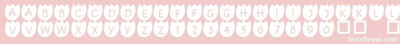 101Tulipz-fontti – valkoiset fontit vaaleanpunaisella taustalla