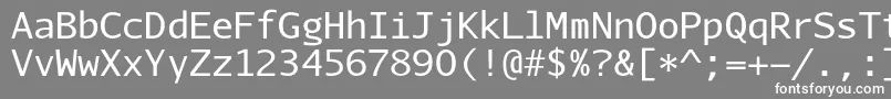 フォントAurulentsansmonoRegular – 灰色の背景に白い文字