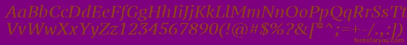 Ptz56fW-Schriftart – Braune Schriften auf violettem Hintergrund