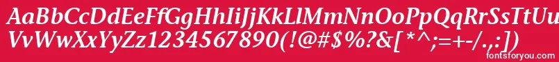 フォントStoneInfSemItcTtSemiitalic – 赤い背景に白い文字