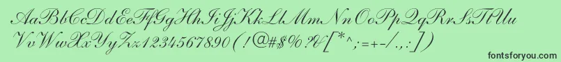 ShelleyAndantescript Font – Black Fonts on Green Background