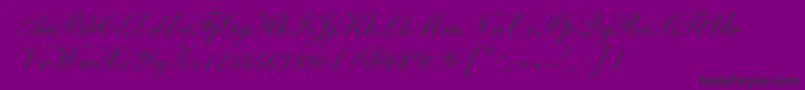 ShelleyAndantescript-Schriftart – Schwarze Schriften auf violettem Hintergrund