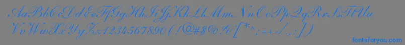 ShelleyAndantescript-Schriftart – Blaue Schriften auf grauem Hintergrund