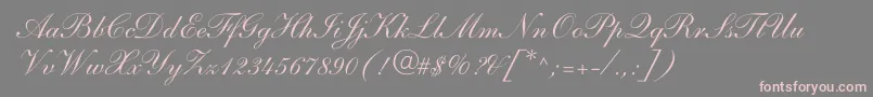 フォントShelleyAndantescript – 灰色の背景にピンクのフォント