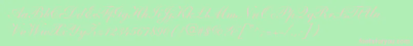 ShelleyAndantescript Font – Pink Fonts on Green Background