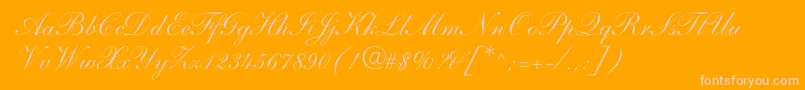 ShelleyAndantescript Font – Pink Fonts on Orange Background