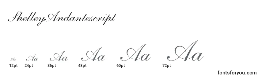 Размеры шрифта ShelleyAndantescript