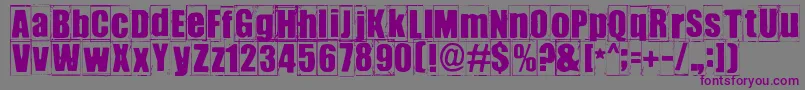 フォントIkhioogla3 – 紫色のフォント、灰色の背景