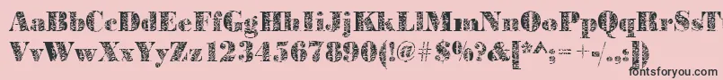 Bodoniplant2Regular Font – Black Fonts on Pink Background