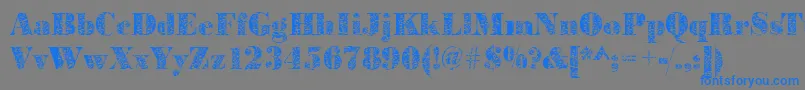 Bodoniplant2Regular Font – Blue Fonts on Gray Background