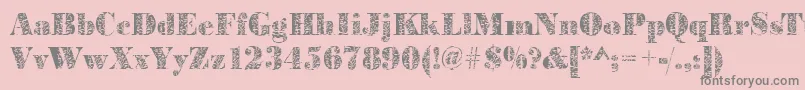 Bodoniplant2Regular Font – Gray Fonts on Pink Background
