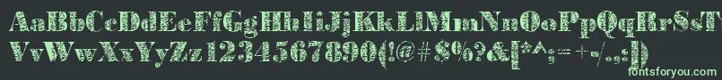 Bodoniplant2Regular Font – Green Fonts on Black Background