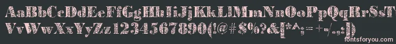 フォントBodoniplant2Regular – 黒い背景にピンクのフォント