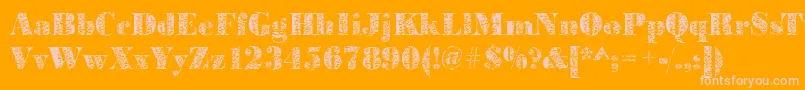 More about Bodoniplant2Regular Font Bodoniplant2Regular Font – Pink Fonts on Orange Background