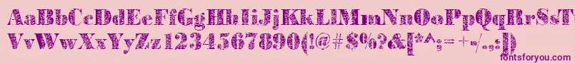 Bodoniplant2Regular Font – Purple Fonts on Pink Background