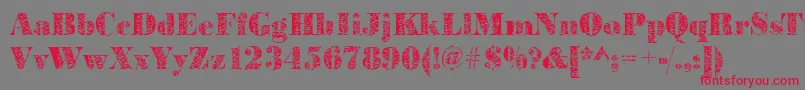 Bodoniplant2Regular Font – Red Fonts on Gray Background