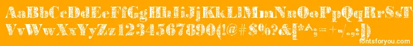 Bodoniplant2Regular Font – White Fonts on Orange Background