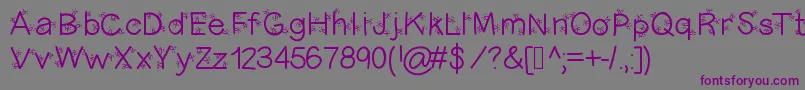 Christmasligtness Font – Purple Fonts on Gray Background