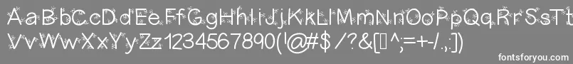 Christmasligtness Font – White Fonts on Gray Background