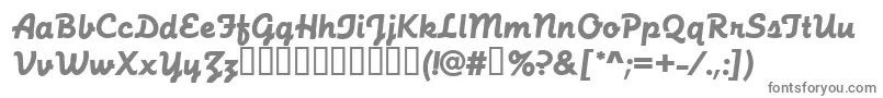 FunctionScriptRegular Font – Gray Fonts on White Background