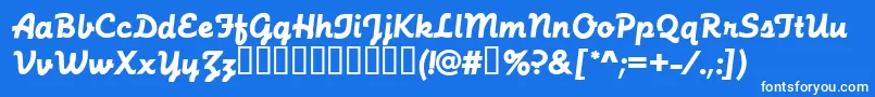 FunctionScriptRegular-Schriftart – Weiße Schriften auf blauem Hintergrund