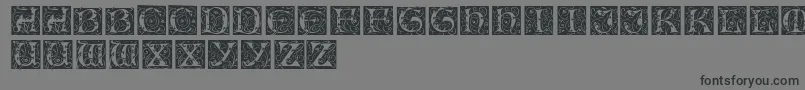 Подробнее о шрифте EileencapsRegular Шрифт EileencapsRegular – чёрные шрифты на сером фоне