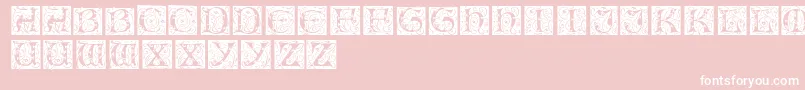 EileencapsRegular Font – White Fonts on Pink Background