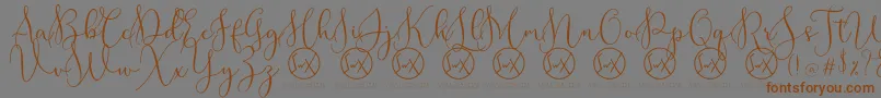 Weitere Informationen zur RottarityDemo-Schriftart RottarityDemo-Schriftart – Braune Schriften auf grauem Hintergrund