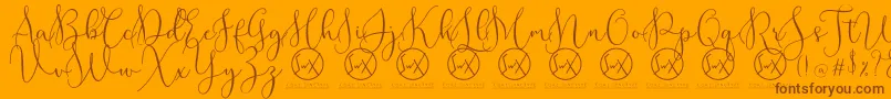 RottarityDemo Font – Brown Fonts on Orange Background